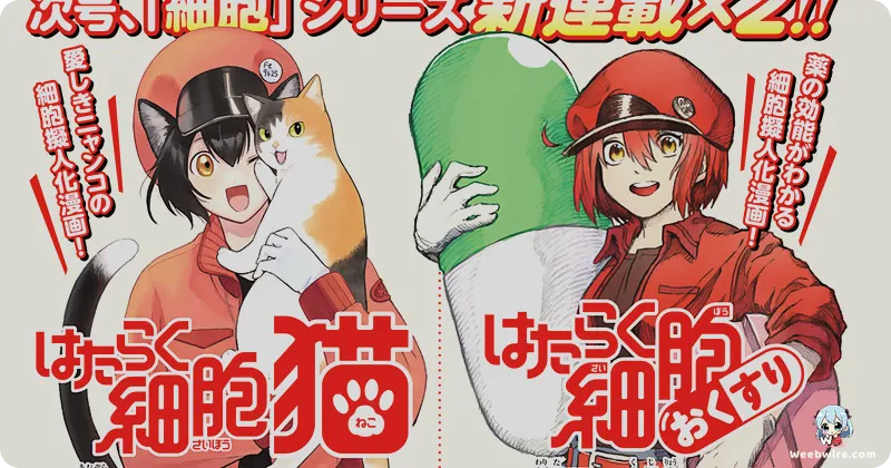Cells at Work!! Season 2: Scientific Accuracy & Engaging Biology | Weebwire