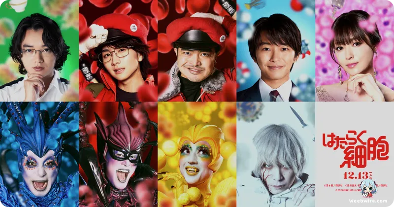 Cells at Work!! Season 2: Scientific Accuracy & Engaging Biology | Weebwire