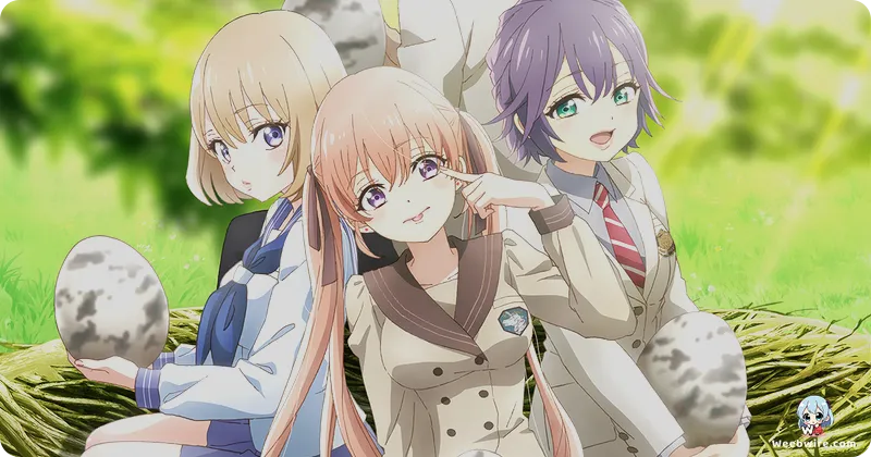 A Couple of Cuckoos: Deep Dive into its Unique Appeal | Weebwire
