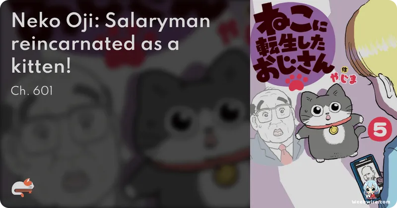 emaqi Launches Holiday Postcard Giveaway for US Fans | Weebwire